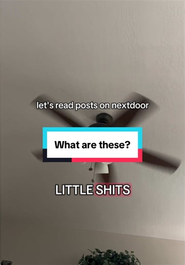 Epic posting found in Nextdoor app. #nextdoormusings #funny #nextdoor #neighbors