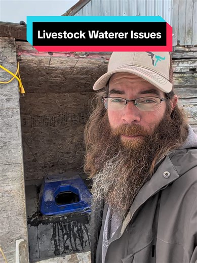 Well this is a first for me here, the cows water line seems to have frozen somewhere below grade, the pipe did jot burst as it still runs in the barn. So far I haven't been able to thaw it, hopefully the warmer weather coming will help as I don't know what else I can do #homestead #diy #cow #water #frozen