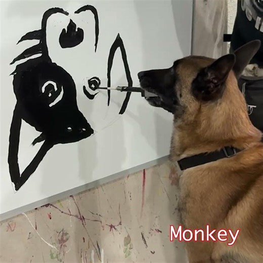 Monkey Signs