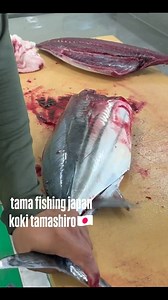 This is Japanese sashimi.🇯🇵 The sashimi was cut by a local person. #Japan #fishing #fishinglife #Bonito | Koki Tamashiro