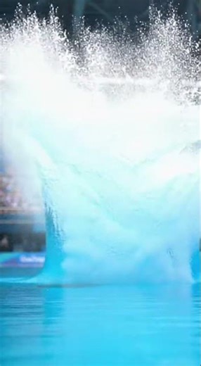 Olympic High Dive: A 500lb man stands on the 10m Olympic platform. He executes a graceful, technical