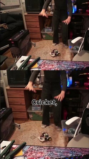 My New Cute Little Robot! Meet Cricket 🦗 #robotics