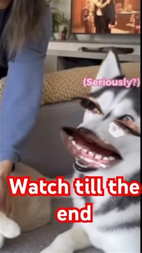 Most Funny Talking Dog Ever 😂 #funny #dogtalk #funnypets #youtubeshorts #animalcomedy