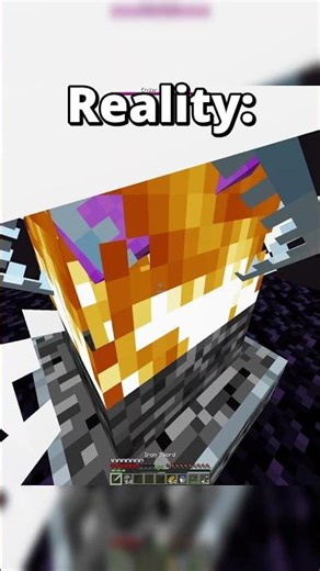 Ender Dragon Expectations vs Reality 😂