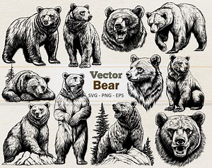 Vector Bear Clipart - Line Art Digital Illustration - Brown Bear SVG PNG EPS - Commercial Use - Etsy