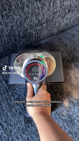 Dust Mite Vacuum: Essential for Allergy Sufferers