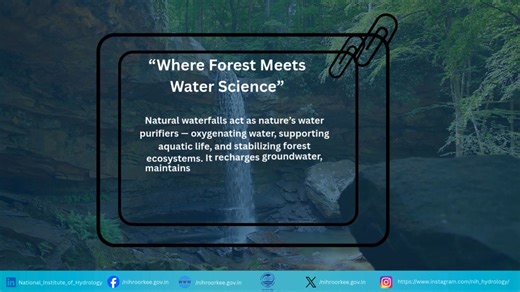 “Behind the beauty of a waterfall lies an entire ecosystem working...