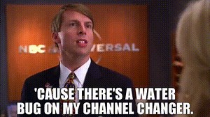 'cause there's a water bug on my channel changer.