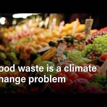 The Path to Zero Emissions: Food Loss and Waste