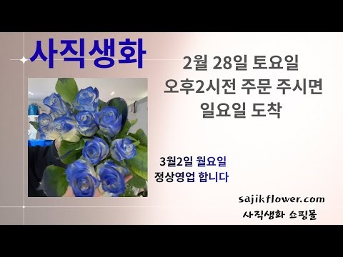2026년 2월 28일(토요일) 가게 꽃 소개 및 판매 가격 주문방법 소개