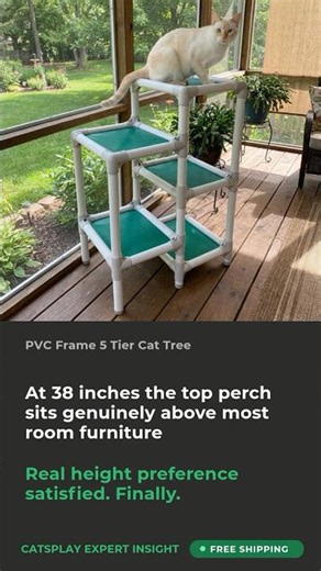 PVC Frame 5 Tier Cat Tree — Expert Insight | CatsPlay