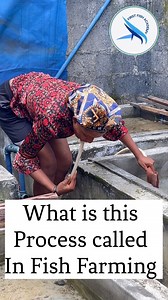 What is this Process called in Fish Farming #fish #followers #highlights | First Fish Academy