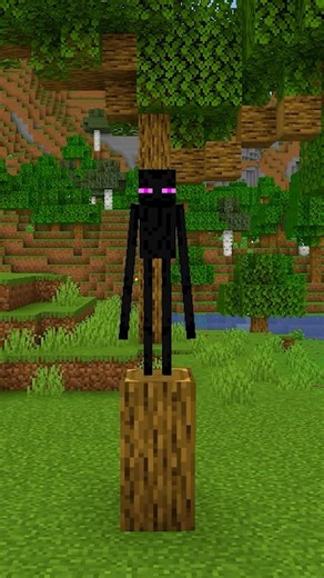 ENDERMAN THEORY! 🤯⛏️ #shorts