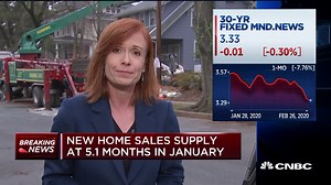 US new home sales surge to 12.5-year high in January