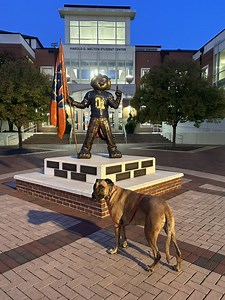 Meet Aubie at the Statue: Auburn’s Newest Football Trad