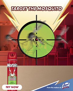 4.7K views · 422 reactions | Target locked with Mortein Multi-Insect Killer. Protect your family’s future against illness-causing insects. Kills 100% of dengue mosquitoes within 24 hours, and is effective against cockroaches and flies. Capture the mosquito once it lands on the target and drop below!  ASC Reference Code: R202N102722MS | Mortein Philippines | Facebook