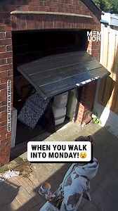 673K views · 4.8K reactions | That would ruin my week... 勞 | Meme Lord | Facebook