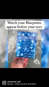 Cyanotype Solar Printing Kit: Nature Art, DIY Craft - Etsy