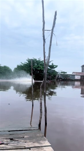 Mama Jazz (@jazjunior)’s videos with suara asli - Mama Jazz