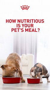 ⏰ Tick-tock, just 2 days to go!  Wondering about the nutritional...