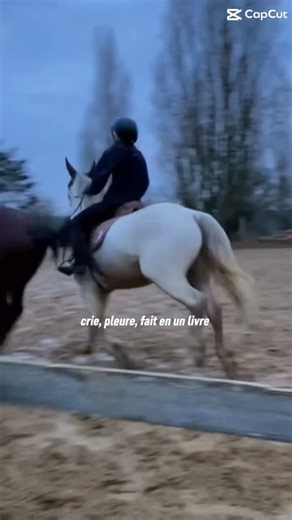 #horse ##equestrian #cheval