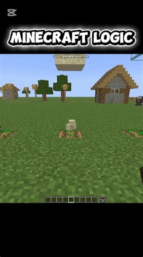 Minecraft logic...☠️ #minecraft