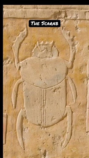 Scarabs, the ancient Egyptian gift of new beginnings #scarab