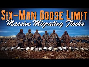 Limited-Out on Massive Migrating Flocks | Best Goose Hunt of the Year | Canada Goose Hunting, PEI