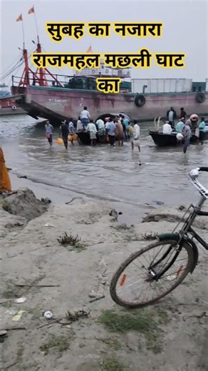 Morning view of Rajmahal machhli ghaat #fishing #fish #fishingvideo #fishcutting #catchingfish#fish
