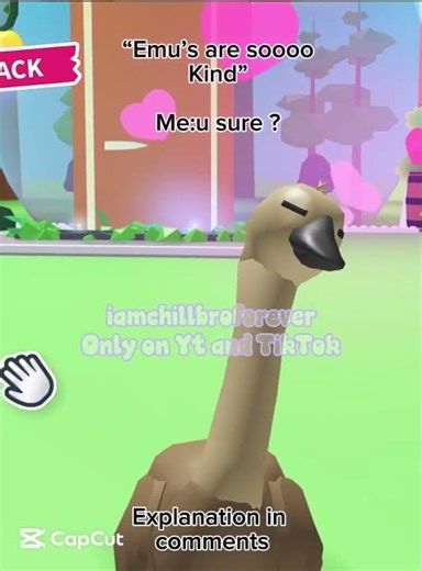 Bruh…. Explanation in comments #fyp #emu #adoptme #etherealhouse