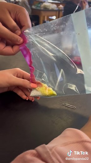 Identifying Chemical Reactions in Science Experiments