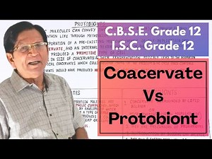 Comparison between Coacervate & Protobiont || Grade 12 Biology