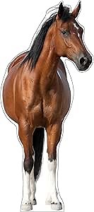 Life Size Cardboard Cutout Standup | Waterproof | Animals - Horse - Left