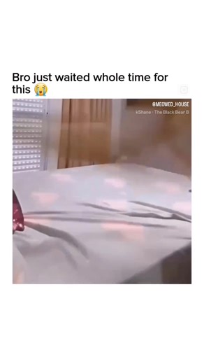 1.9M views · 10K reactions | Chonky Borks and other portly babies on Reels | Facebook