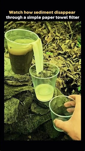 How to clean dirty water if you lost in the jungle