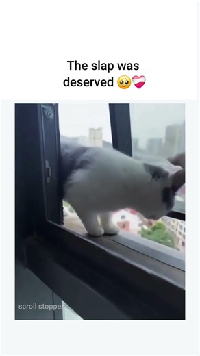 The slap was deserved ❤️‍🩹🥹