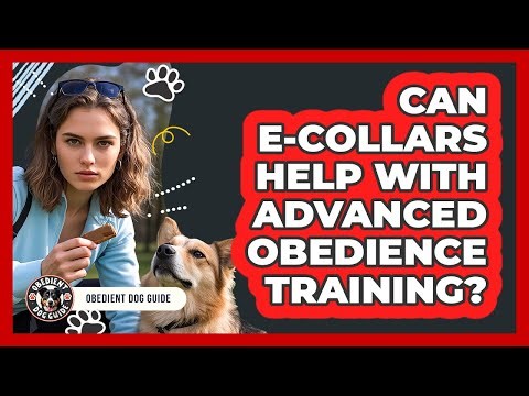 Can E-collars Help With Advanced Obedience Training? - Obedient Dog Guide