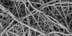 Silver-ion Coating Allows Bone Regeneration While Halting MRSA Growth | Microbiology