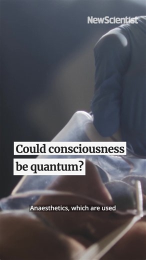 Is Consciousness Quantum? The Science Behind the Theory 🧠