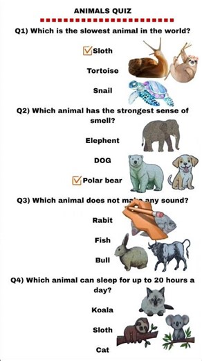 animal quiz #quiz #braingame