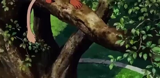 I’ve finally found how to copy and paste video link On X :* Open the post* Tap the share icon* Select ‘Copy link’* Paste it anywhereAnd There you Goooo!!!