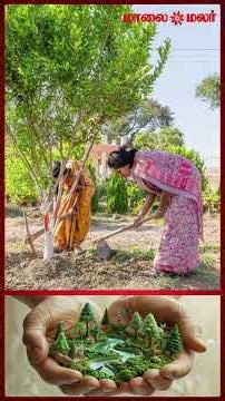 Mar. 21 - World Forestry Day | காடுகளை காப்போம், சுற்றுச்சூழல் அற்புதங்களை அனுபவிப்போம்!