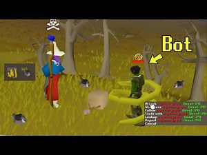 I Found a Low Level Wilderness Bot Farm...