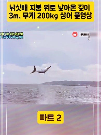 3m 상어가 낚싯배 위로 날아오다!