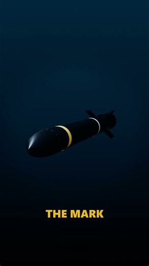 This Torpedo Hunts A Ship By The Sound Of Its Propeller 🚢