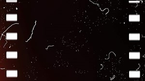 Download Free dust and scratches overlay light leaks overlay with film frame stock videos footage for free download 4k for free