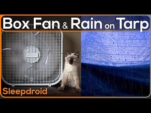 ►Box Fan (Medium Speed) and Rain on a Tarp with Thunder Sounds for Sleeping, Fan Noise and Rain