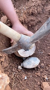 #treasure #metaldetecting #adventure lol | Carrying the treasures