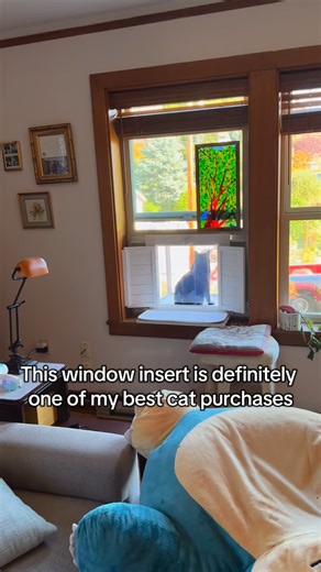 Essential cat Finds on Instagram: "Give your kitty the best view in the house with the Window Insert Cat Bed 😺🪟 Perfect for sunbathing, bird-watching, and cozy naps. Strong, comfy, and designed for curious cats who love window perches! #WindowCatBed #CatWindowPerch #CatHammock #CatBed #IndoorCatEssentials #CatLovers #CatComfort #SunbathingCat #CatFurniture #HappyKitty #PetProducts"