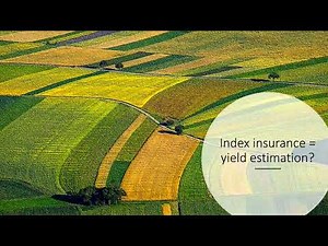 GeoInsider第45期 金哲侬 遥感技术与作物模型在农业灾害保险中的综合应用与展望 Uniting remote sensing, crop modelling and economics fo